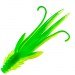 grows culture trout red bass fluo green